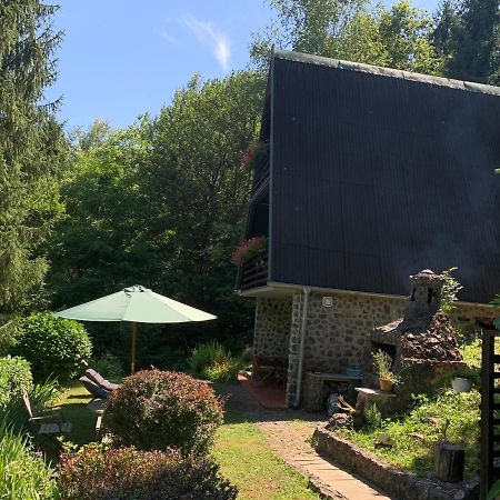 KUĆA ZA ODMOR DRAGONFLY RIVER HOUSE on KORANA near PLITVICE&MREŽNICA Barilovic Exterior foto