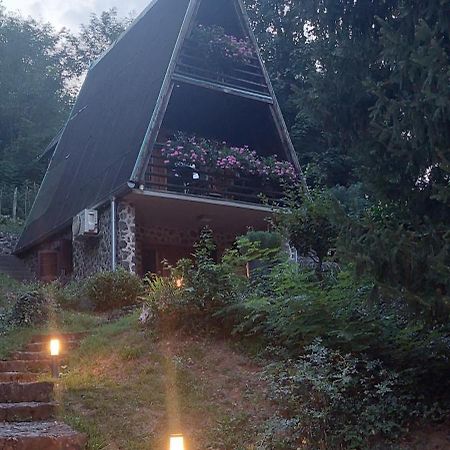 KUĆA ZA ODMOR DRAGONFLY RIVER HOUSE on KORANA near PLITVICE&MREŽNICA Barilovic Exterior foto