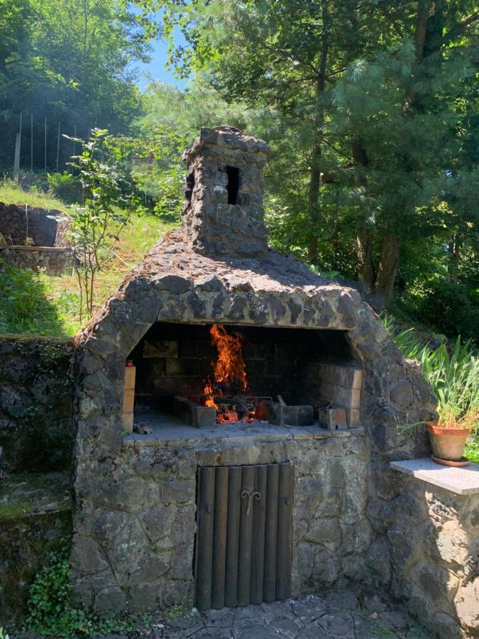 KUĆA ZA ODMOR DRAGONFLY RIVER HOUSE on KORANA near PLITVICE&MREŽNICA Barilovic Exterior foto